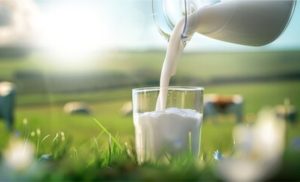 Mais Leite Saudável vincula incentivo tributário à assistência técnica aos produtores 🚜