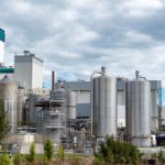 Exportações lácteas sustentam 83% das vendas externas da NZ 📊