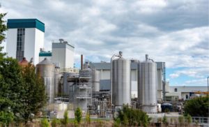 Exportações lácteas sustentam 83% das vendas externas da NZ 📊