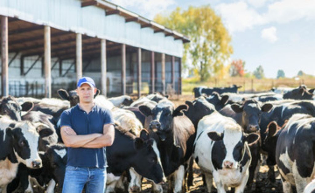 Em meio à crise do leite, Farsul aponta necessidade de profissionalização e contratos mais previsíveis na cadeia. 📉