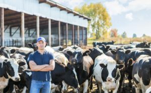 Em meio à crise do leite, Farsul aponta necessidade de profissionalização e contratos mais previsíveis na cadeia. 📉