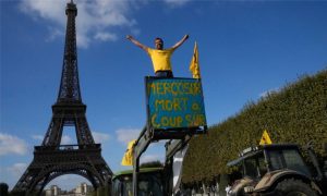 🥛 A decisão da França de adiar o acordo UE-Mercosul impacta lácteos, carne e estratégias do agronegócio