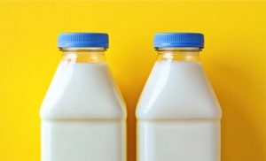 Excesso de produção pressiona o preço do leite, e cooperativa neozelandesa reduz projeção 💰