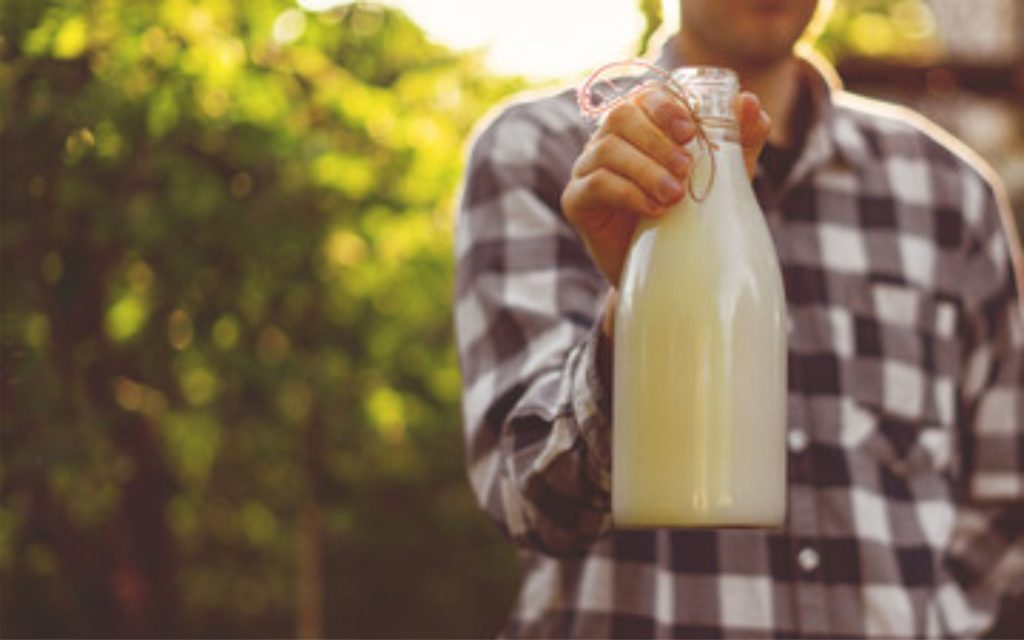 Captação em alta e demanda fraca derrubam preço do leite no Brasil 🚜