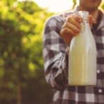 Captação em alta e demanda fraca derrubam preço do leite no Brasil 🚜