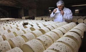 📉 China inicia cobrança de tarifas provisórias sobre laticínios da UE após investigação antissubsídios