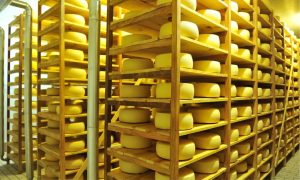 Savencia faz prosposta para comprar a Quatá Alimentos, especialista em queijos • Quatá Alimentos