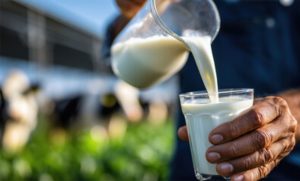 🔍 Produção cresce até 8% em 2025, mas preço do leite recua e desafia a sustentabilidade do produtor.