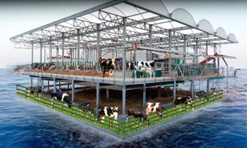 ⚓ Em Roterdã, fazenda flutuante leva vacas ao porto e desafia modelos tradicionais de produção de leite.