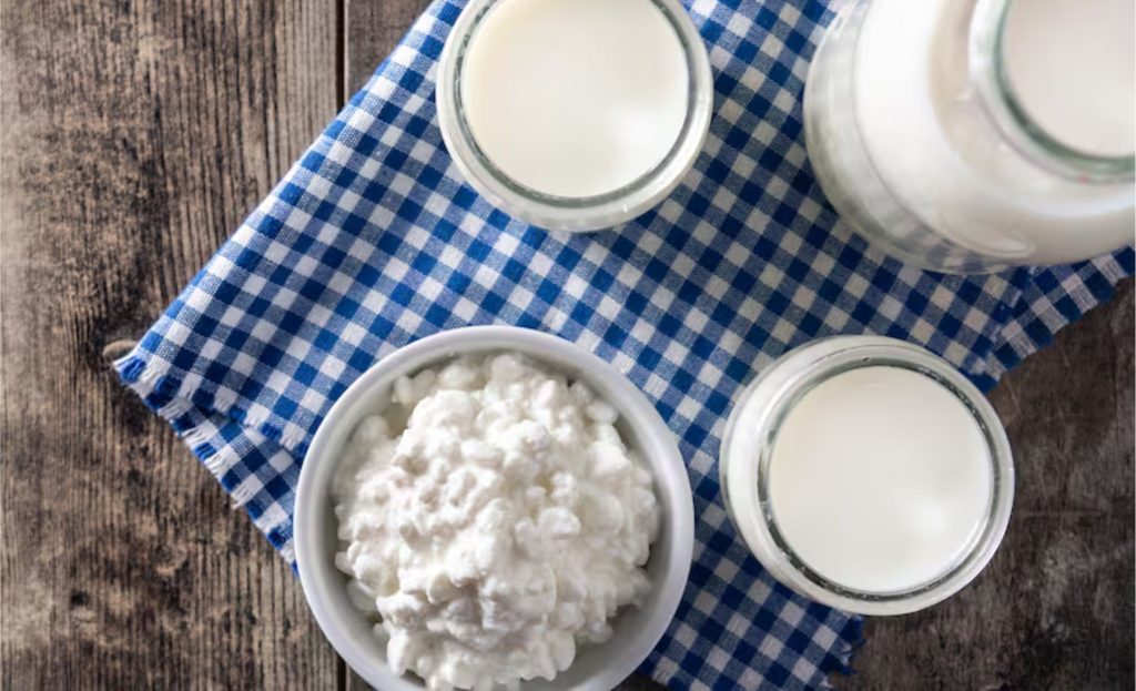 🫘 Ciência investiga como o kéfir atua na microbiota e reduz riscos à saúde renal