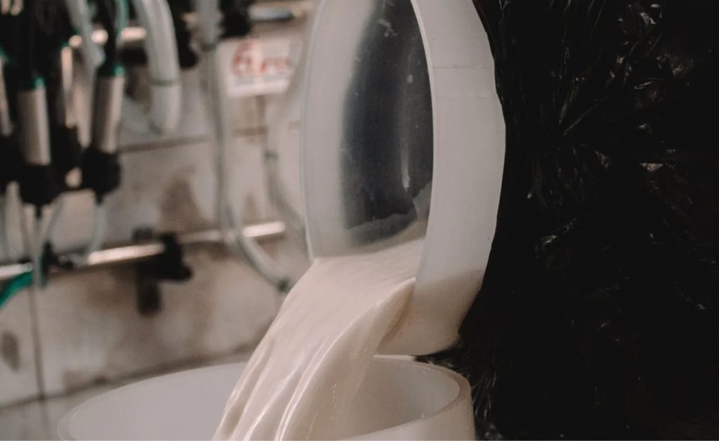 🐄 Com foco no leite em pó, aporte público de R$ 106 milhões é visto como paliativo por associações do Sul do Brasil. Conab.