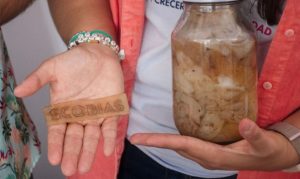 ♻️ Universidade mexicana aposta em resíduos de queijo para criar alternativa ao plástico