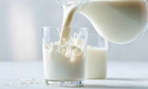 Reunido em dezembro, o Conseleite MG apresentou a projeção oficial do leite a ser pago em janeiro de 2026 💰