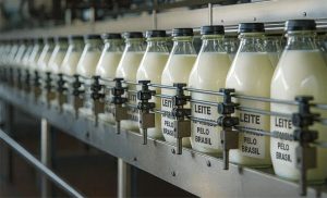 🥛 A combinação entre oferta crescente, consumo enfraquecido e importação competitiva cria um cenário desafiador para a pecuária leiteira brasileira.