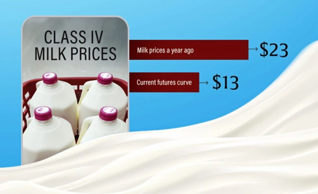 🥛 Analistas veem excesso de oferta global e pouca trégua nos preços até o primeiro semestre de 2026.