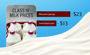 🥛 Analistas veem excesso de oferta global e pouca trégua nos preços até o primeiro semestre de 2026.