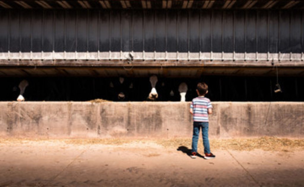 📌 Mercado incerto leva fazendas de Iowa a repensar custos e estratégias.