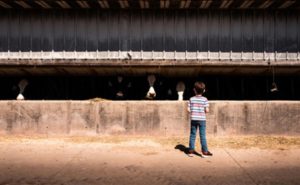 📌 Mercado incerto leva fazendas de Iowa a repensar custos e estratégias.