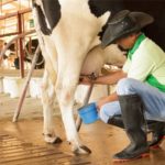 🌾 Setor produtivo reforça que a crise tem múltiplas causas e cobra respostas técnicas para recuperar renda e competitividade no campo.