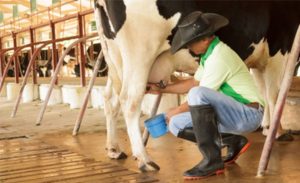 🌾 Setor produtivo reforça que a crise tem múltiplas causas e cobra respostas técnicas para recuperar renda e competitividade no campo.