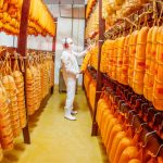 Queijos premium impulsionam Tirolez rumo aos R$ 2 bi em 2025 🧀🚀 2 Aposta em queijos premium, aquisição da Levitare e nova estrutura societária aceleram a estratégia da Tirolez. 🧀