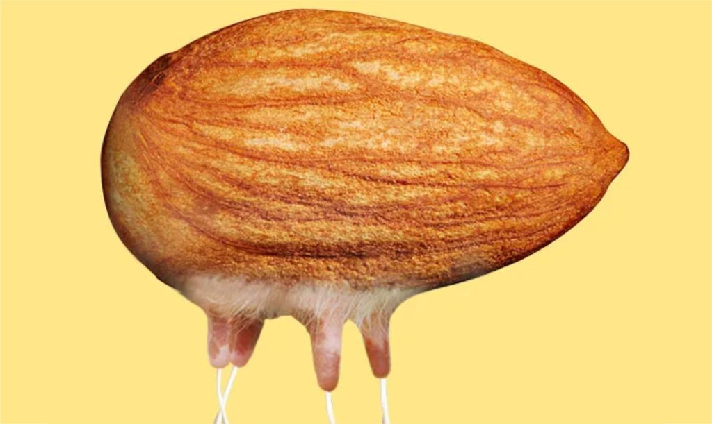O sonho molhado da indústria dos “leites” alternativos.