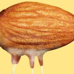 O sonho molhado da indústria dos “leites” alternativos.