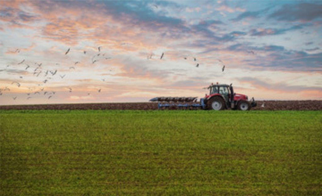 Isenção tributária para produtores rurais, nova tabela do IR e avanço do licenciamento marcam a abertura de dezembro na agenda do agro. 🌾