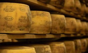 A estratégia de verticalização sustenta o avanço da RAR, que cresce com qualidade e práticas sustentáveis no agronegócio. 🌿