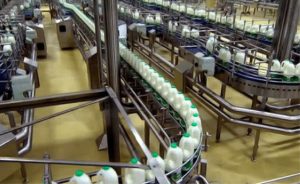 Com mais leite disponível e preços retraídos, o mês de novembro registrou redução expressiva do déficit da balança comercial do setor lácteo. 🐄