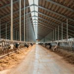 ⚠️ A retração dos preços do leite ganha força em novembro, com derivados em baixa, spot negativo em Minas e projeções de recuo expressivo no Sul.