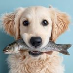 Truque clássico da cozinha ganha explicação científica: o leite reduz o odor do peixe antes do preparo 🐟