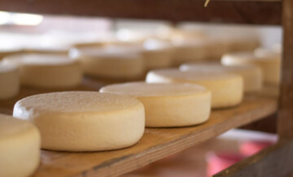 Novo guia orienta produtores a inserir o queijo mineiro no mercado internacional, com foco em regras, consumo e competitividade 🧀