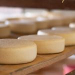 Queijo mineiro mira o mundo com novo guia de exportação 🌍 2 Novo guia orienta produtores a inserir o queijo mineiro no mercado internacional, com foco em regras, consumo e competitividade 🧀