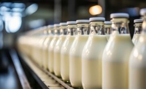 Com mais oferta interna e preços menores, exportações de lácteos crescem e ajudam a reduzir o déficit do setor em novembro 📉