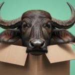 🤔 Mais presentes no dia a dia, carne e leite de búfala deixam de ser raridade