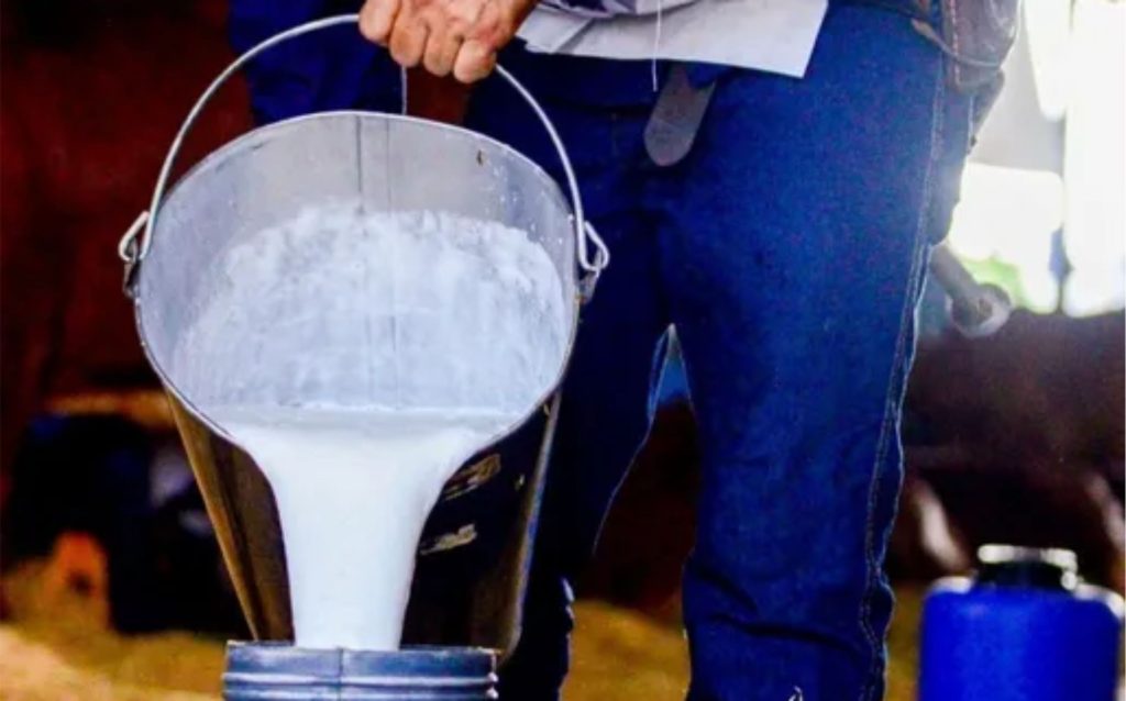 ⚠️Preço do leite é o foco da primeira reunião do Conseleite em 2026, em meio à frustração do setor com a resposta dos governos.