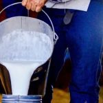 ⚠️Preço do leite é o foco da primeira reunião do Conseleite em 2026, em meio à frustração do setor com a resposta dos governos.