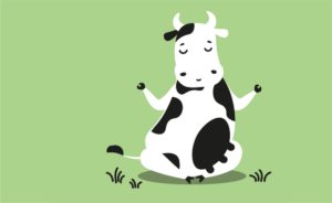 🌿 Entre estresse, telas e correria, a busca por Milkfulness cresce na Espanha.