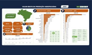 🇧🇷 Dados oficiais apontam expansão do VBP do leite, com Minas Gerais na liderança e ganhos distribuídos entre regiões.