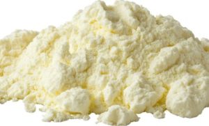 Governo catarinense endurece regras contra o uso de leite em pó importado na indústria 🧾