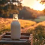 Com foco regional, a Rota do Leite leva capacitação e tecnologia a polos do leite e do queijo artesanal.