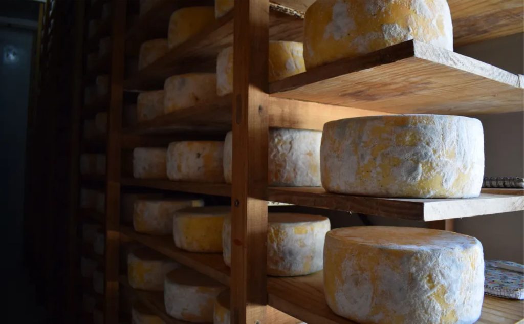 O desempenho das exportações lácteas em 2025 superou marcas anteriores, apesar da queda em volumes 📉