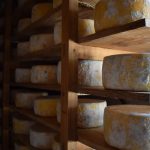 Exportações lácteas do Uruguai batem recorde e chegam a US$ 962,7 mi 🥛 1 O desempenho das exportações lácteas em 2025 superou marcas anteriores, apesar da queda em volumes 📉