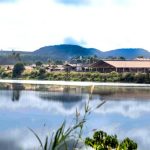 Agropecuária Palma no centro de uma guerra entre herdeiras 🐄 2 ⚖️ Avaliada em centenas de milhões, a Agropecuária Palma vive crise familiar que ameaça produção e gestão.