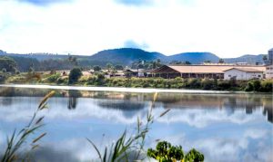 ⚖️ Avaliada em centenas de milhões, a Agropecuária Palma vive crise familiar que ameaça produção e gestão.