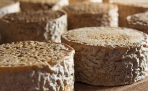 🐄 Do leite cru ao pingo, esses queijos artesanais brasileiros revelam por que o país é um mosaico de sabores.