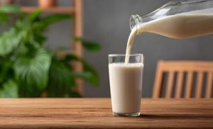 Brasil enfrenta crise do leite com pressão externa e reação institucional 🇧🇷