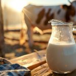 Mesmo grandes produtores enfrentam pressão: autossuficiência em lácteos cai diante de população, clima e cadeias frágeis ⚠️