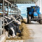 Dália recebe R$ 6 mi da Conab e aponta risco do leite importado 🥛 1 Programa da Conab injeta recursos no setor, mas não resolve impacto do leite importado. Dalia